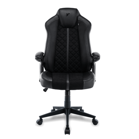 เก้าอี้เกมมิ่ง TTRacing Duo V4 หนัง PU สี Stealth_2
